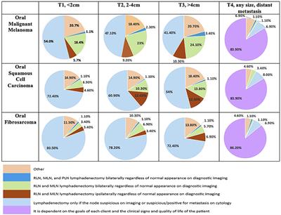 Variability in Recommendations for Cervical Lymph Node Pathology for Staging of Canine Oral Neoplasia: A Survey Study